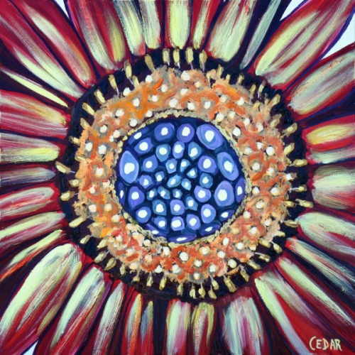 Sunflower Heart XV. 16" x 16", Oil on Panel, © 2018 Cedar Lee