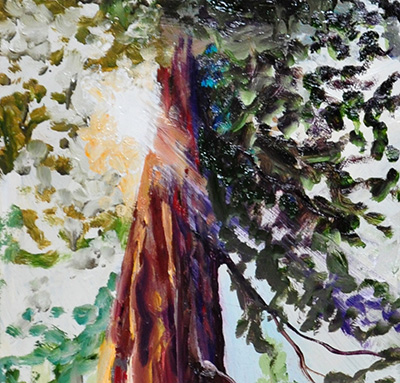 Detail from: Sequoias in the Sun. 30" x 24", Oil on Wood, © 2014 Cedar Lee