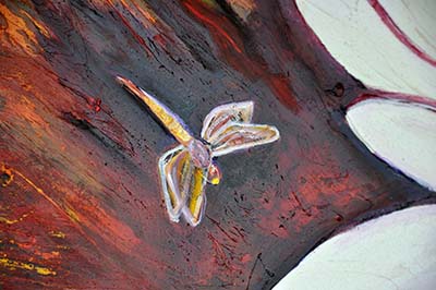 Detail: Three Dragonflies. 24" x 36", Oil on Canvas, © 2016 Cedar Lee