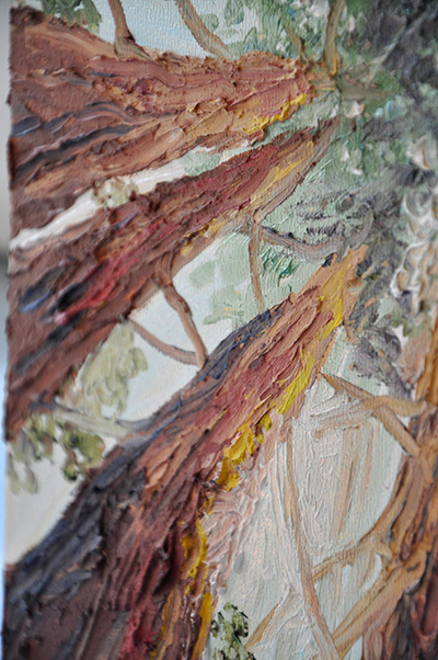 Detail: Redwoods in the Sun, Thick Bark. 10" x 10", Oil on Wood, © 2016 Cedar Lee