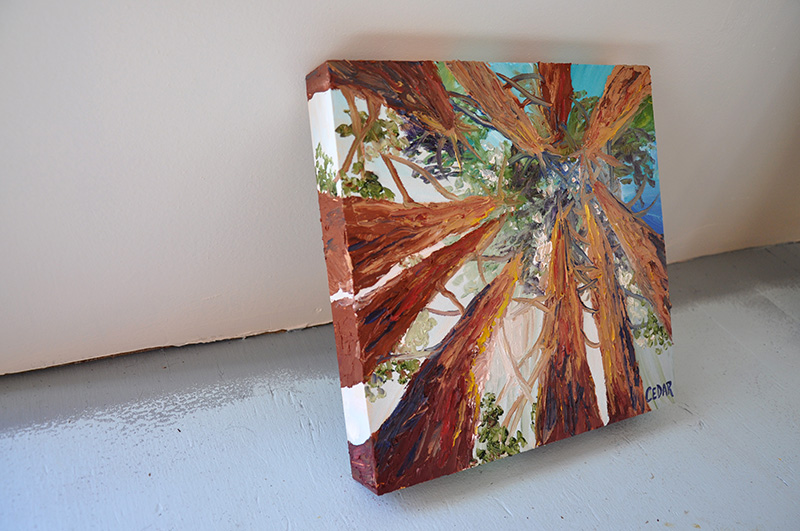 Redwoods in the Sun, Thick Bark. 10" x 10", Oil on Wood, © 2016 Cedar Lee