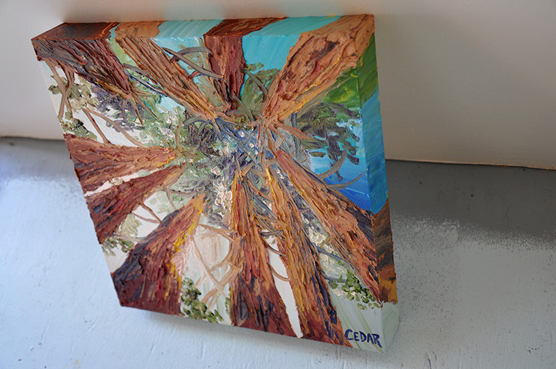 Redwoods in the Sun, Thick Bark. 10" x 10", Oil on Wood, © 2016 Cedar Lee