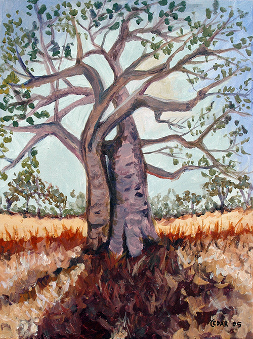 Intertwining Trees. 24" x 18", Acrylic on Canvas, © 2005 Cedar Lee