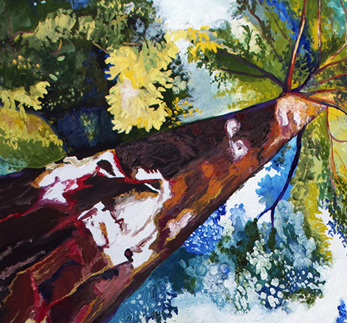 Detail: Sun-Dappled Sequoias. 48" x 48", Oil on Wood, © 2017 Cedar Lee