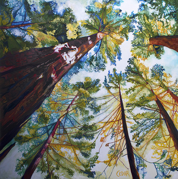 Sun-Dappled Sequoias. 48" x 48", Oil on Wood, © 2017 Cedar Lee 