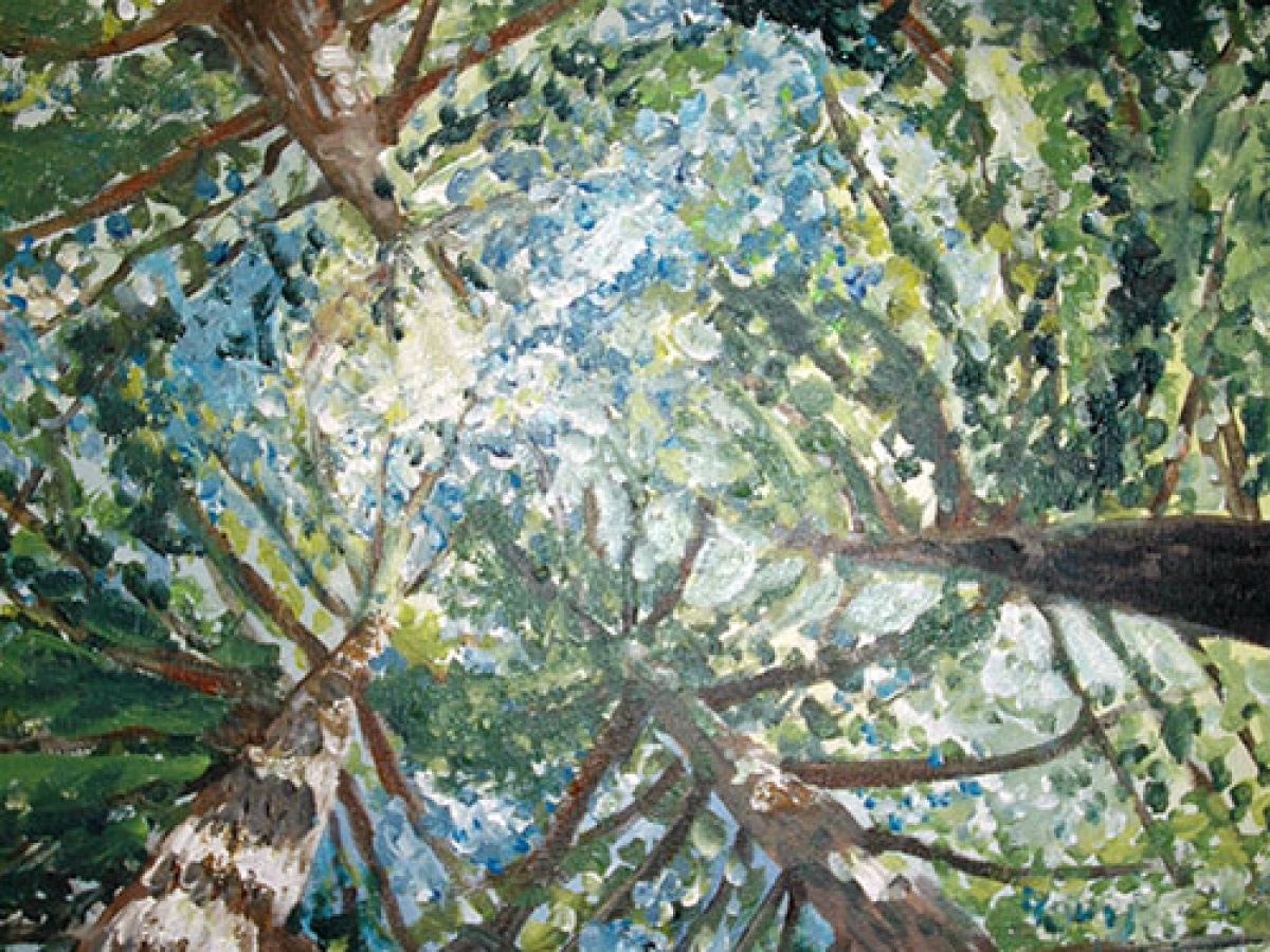 From the Art By Cedar Archives: Reaching For the Sky - Art by