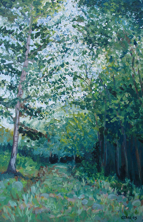Verbania Trail. 30" x 20", Acrylic on Canvas, © 2005 Cedar Lee