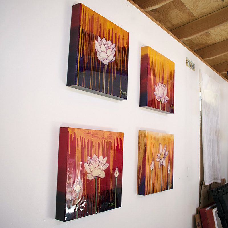 Lotus paintings by Cedar Lee