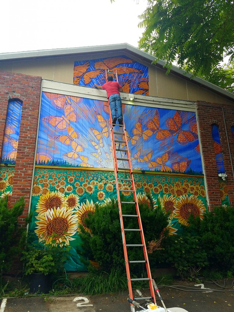 Cedar Lee assisting in installation of Hector Hernandez Monarca Mural in Portland, OR