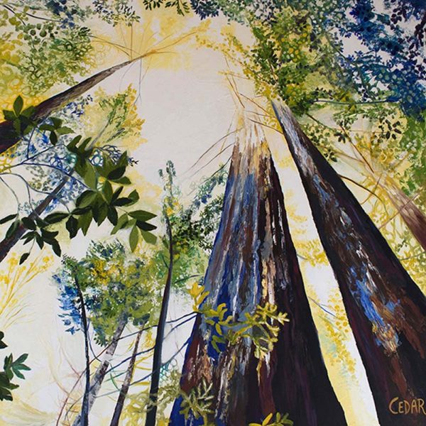 Sun & Shadows. 48" x 48"