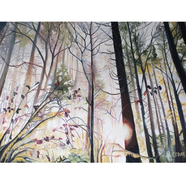 Wild Wood