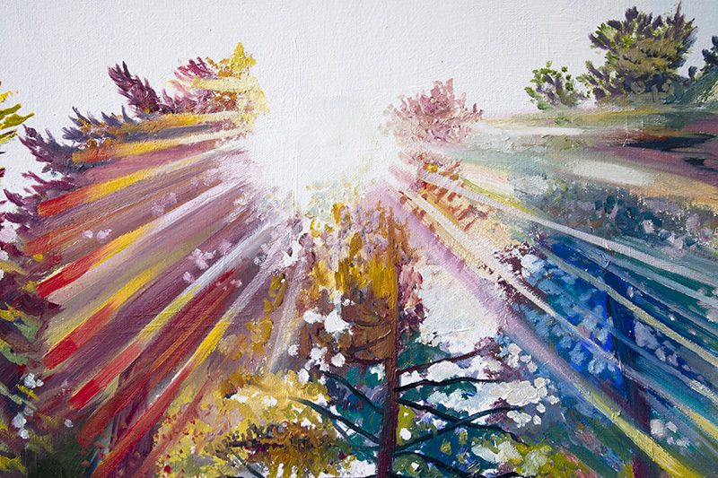 bright sun, cedar lee, cedar lee artist, cedar lee painter, cedar lee portland, cedar lee trees, forest art, forest painting, giant sequoias, lens flare, nature, oregon artist, original tree art, pacific northwest, pnw, portland artist, purchase original art, rays of the sun, redwood painting, redwoods art, sequoia, sequoias, sky, sun, sun in trees, sunburst, sunny sky, tall trees, tall trees in sky, woods, prism, rainbows