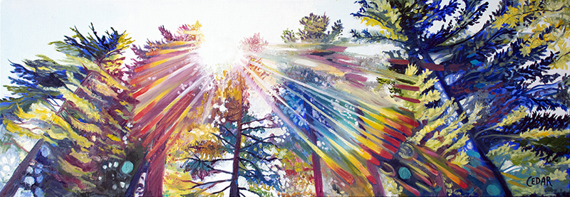 bright sun, cedar lee, cedar lee artist, cedar lee painter, cedar lee portland, cedar lee trees, forest art, forest painting, giant sequoias, lens flare, nature, oregon artist, original tree art, pacific northwest, pnw, portland artist, purchase original art, rays of the sun, redwood painting, redwoods art, sequoia, sequoias, sky, sun, sun in trees, sunburst, sunny sky, tall trees, tall trees in sky, woods, prism, rainbows