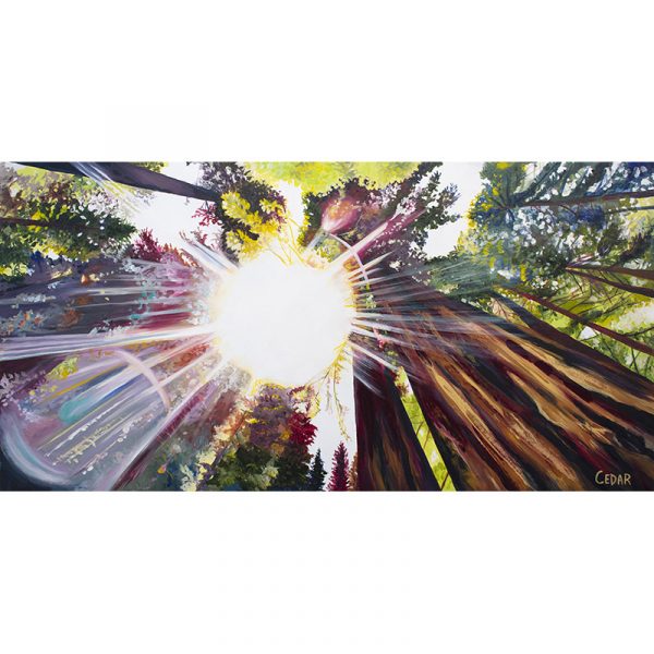Radiance. 24" x 48"