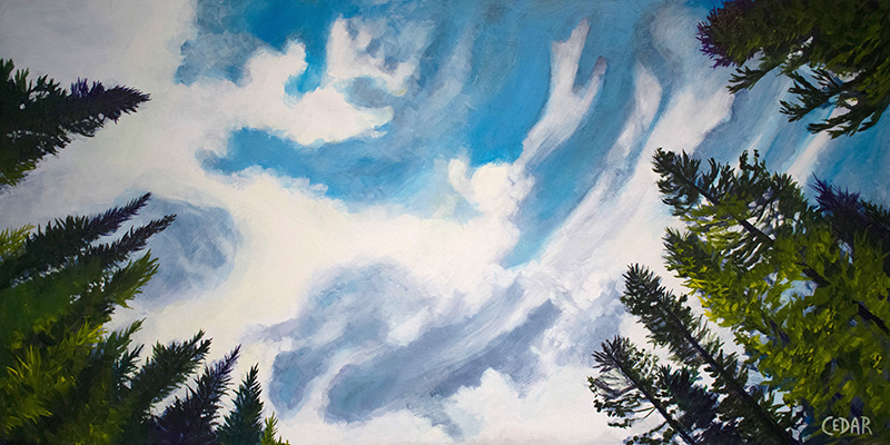 Painting by Cedar Lee of clouds floating in a blue sky over evergreen trees.