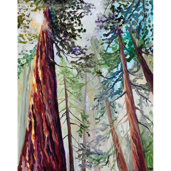 Sequoias in the Sun: Print