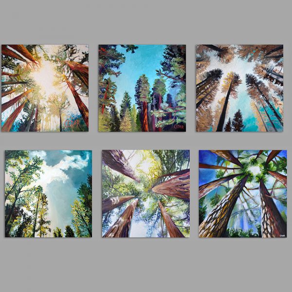 2" Square Magnets: Looking Up Collection (Set of 6)
