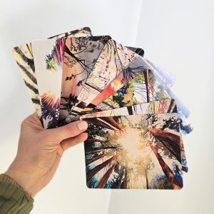 8 assorted note cards