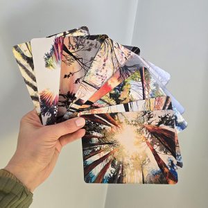 8 assorted note cards