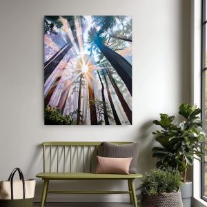 Redwood Cathedral Original Painting