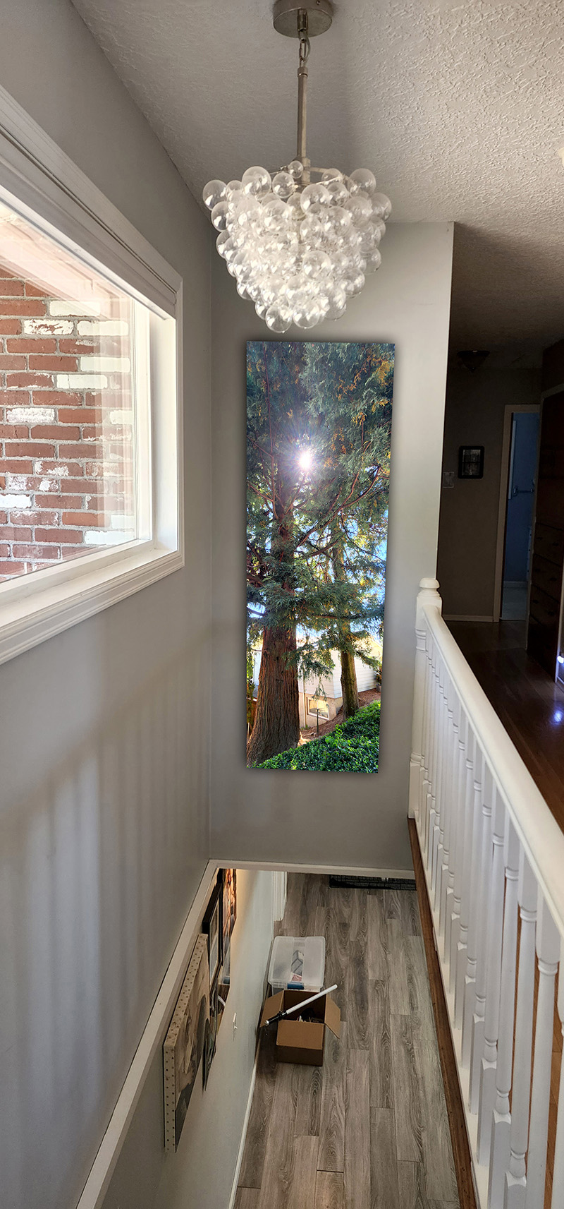 Large PNW Art Commission Camas WA Redwood Tree Painting Art by