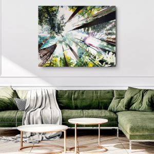 Coastal Redwoods Art Print