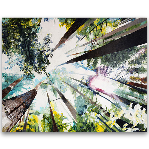 Coastal Redwoods | Peaceful Nature Forest | Colorful Large-Scale Art | Original Art Statement Piece for Corporate Art or Home Collection