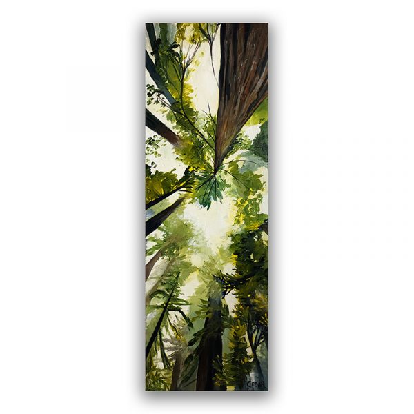 Heart in the Canopy: Print
