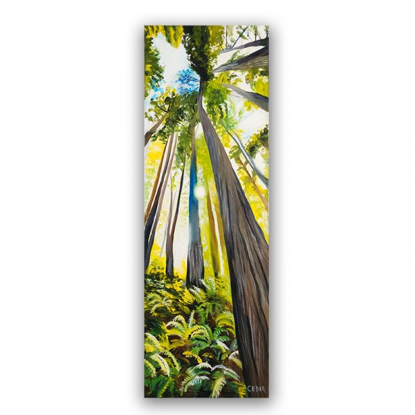Redwoods and Ferns 1: Print