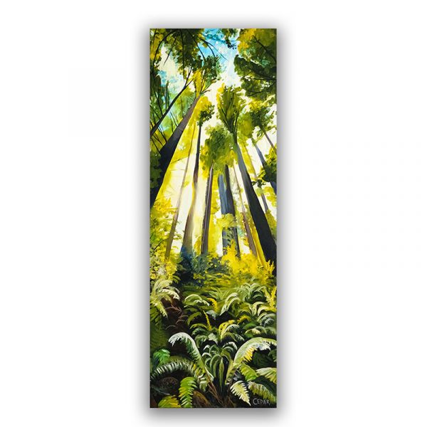 Redwoods and Ferns 2: Print
