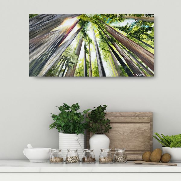 Luminous Redwoods: Original 10" x 20"