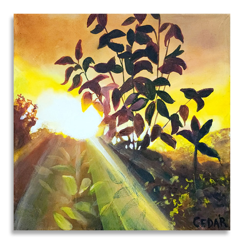 Costa Rica Sunset Canvas Print