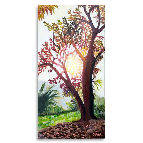 Costa Rica Tree Canvas Print
