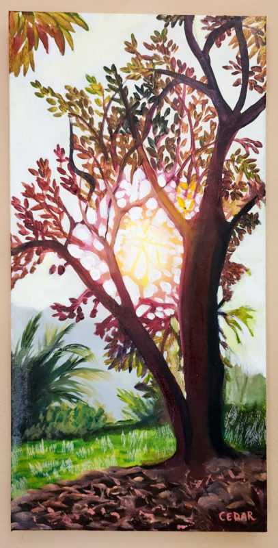 Costa Rica Tree: Painting by Cedar Lee