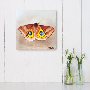 Io Moth 1 Painting by Cedar Lee