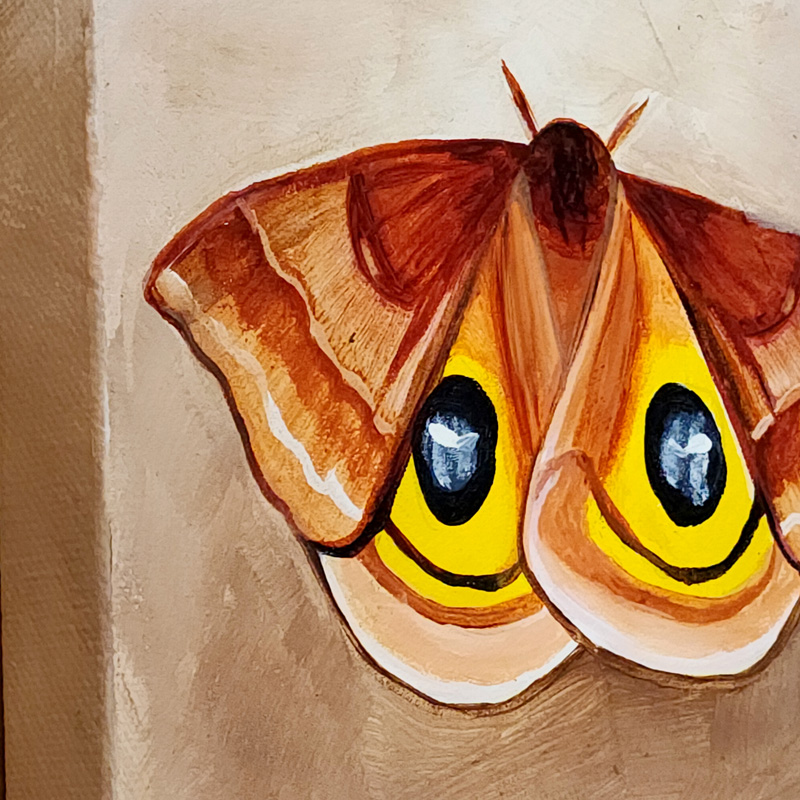 Close-up detail of Cedar Lee Painting: Io Moth 1