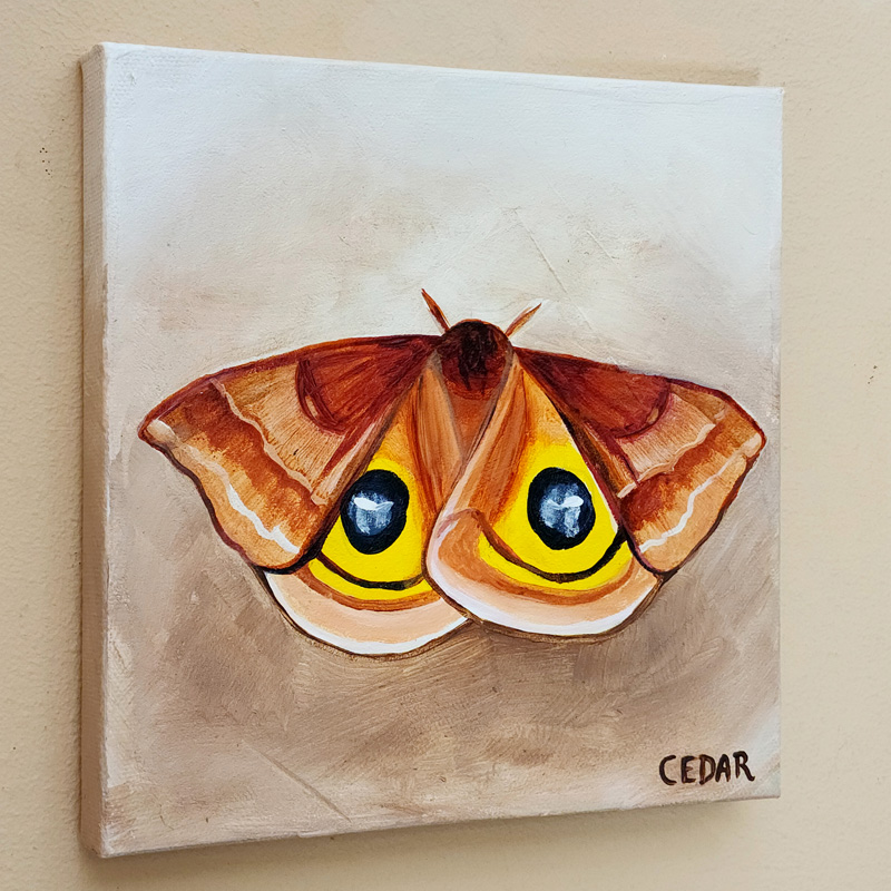 Cedar Lee Painting: Io Moth 1