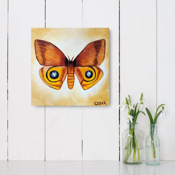 Io Moth 2 Painting by Cedar Lee