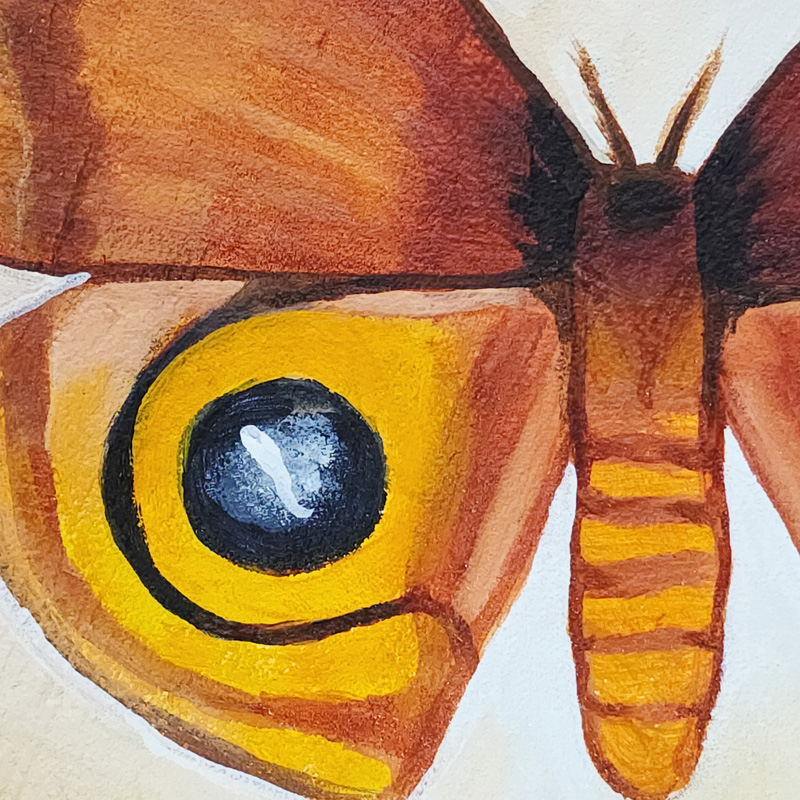 Close-up detail of Cedar Lee Painting: Io Moth 2