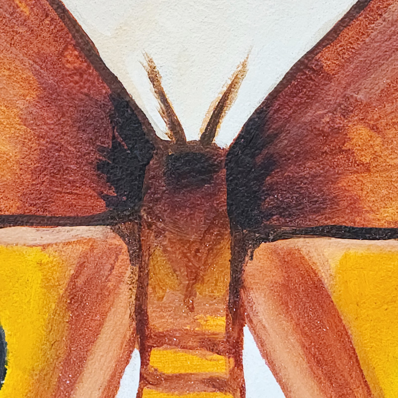 Close-up detail of Cedar Lee Painting: Io Moth 2