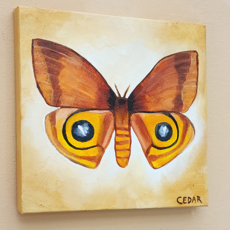 Cedar Lee Painting: Io Moth 2