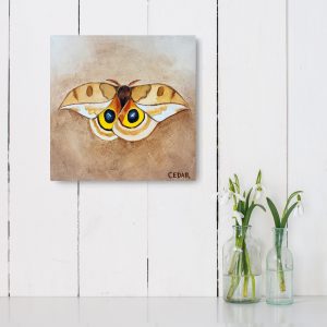 Io Moth 3 Painting by Cedar Lee
