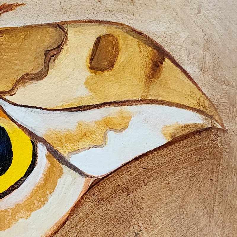 Close-up detail of Cedar Lee Painting: Io Moth 3