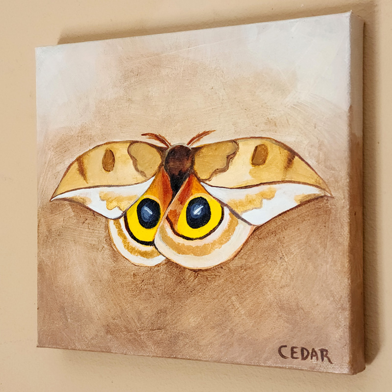Cedar Lee Painting: Io Moth 3