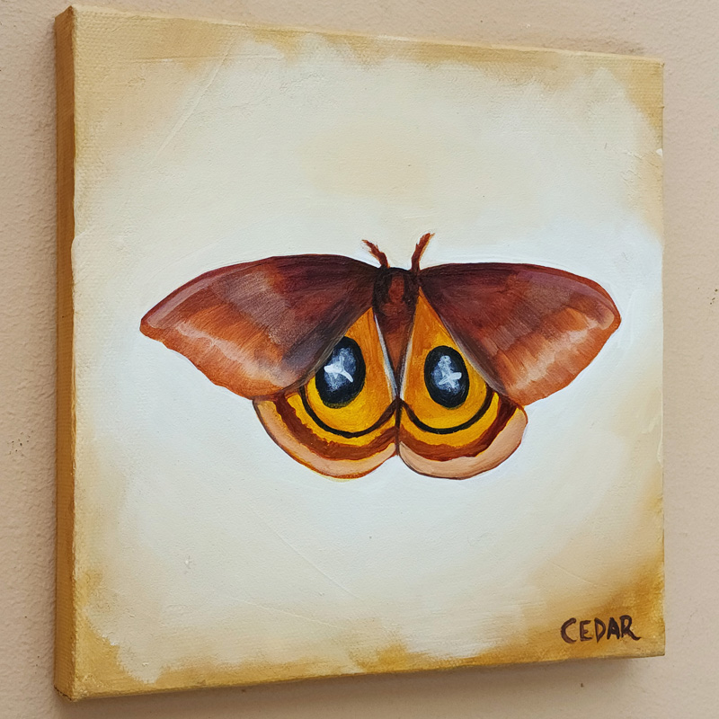 Cedar Lee Painting: Io Moth 4