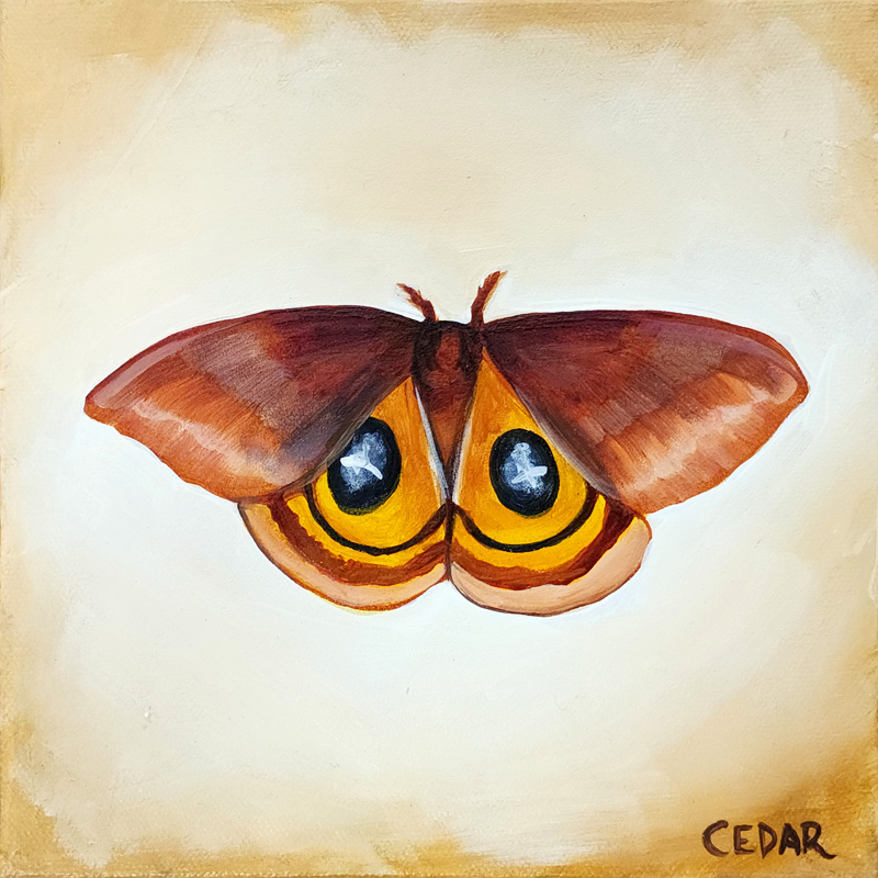 Io Moth 4: Art by Cedar Lee