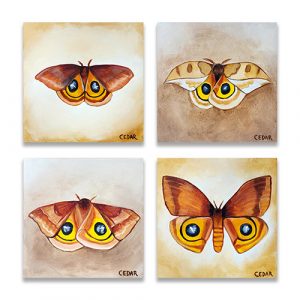 Io Moth Set of 4 Prints