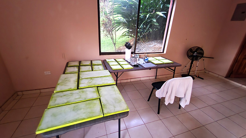 Cedar Lee's painting studio during her artist residency at Mauser Ecohouse in Costa Rica