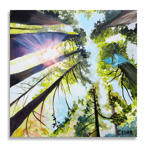 Redwood Love 3 Canvas Print