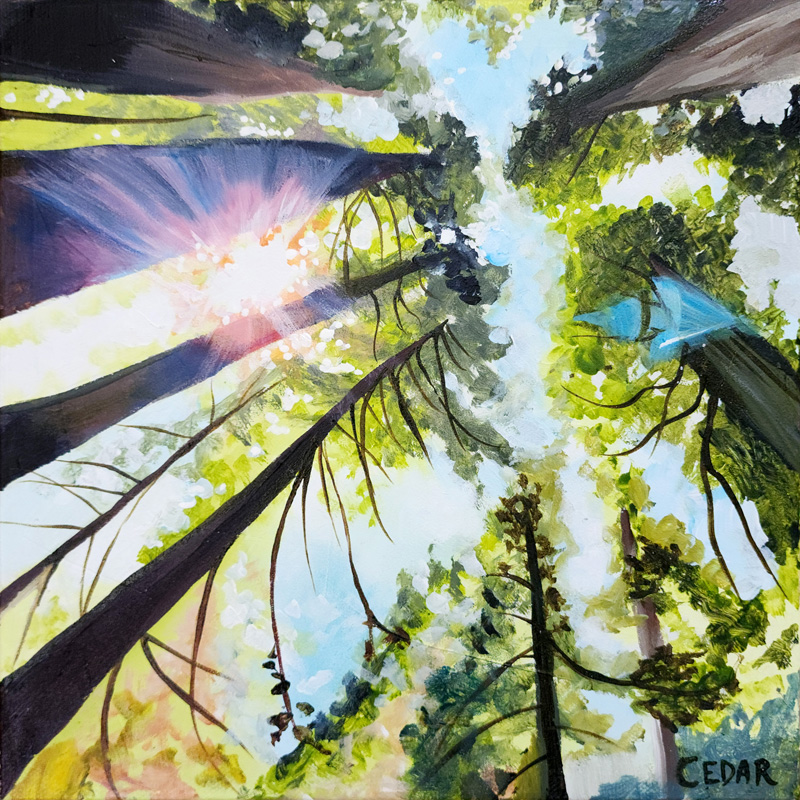 Redwood Love 3 Painting by Cedar Lee